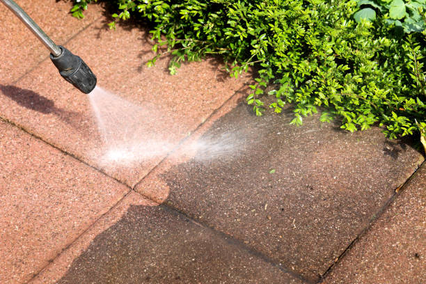Best House Pressure Washing  in Loris, SC